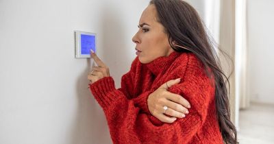 Savvy Dublin shoppers find €7 Dunnes Stores hack to stay warm and avoid putting heating on