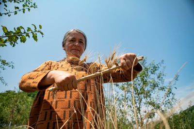 Georgia’s rebel wheat farmers fight against dependence on Russia