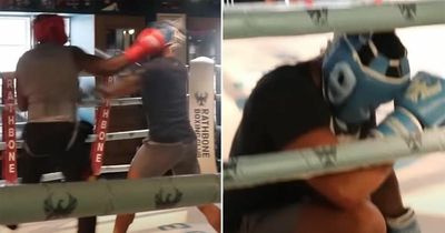 YouTube star Deji drops and stops 'hater' during one-sided sparring session