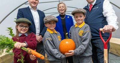Lidl announce opening of new farm experience which will provide free school tours
