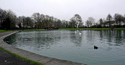 RSPCA confirm suspected Avian flu after dead birds found in Merseyside park