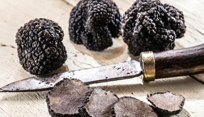 Truffles — what’s all the fuss about these prized delicacies?