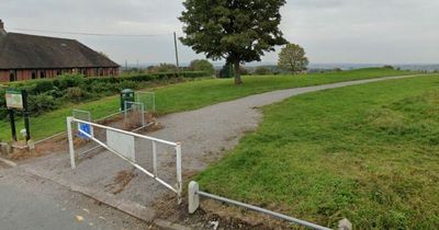 Police hunt 'snarling out-of-control' dogs as young mum savaged and man left in fear