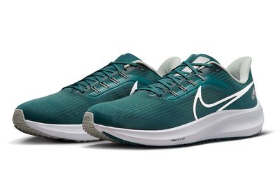Nike releases Philadelphia Eagles special edition Nike Air Pegasus 39, here’s how to buy