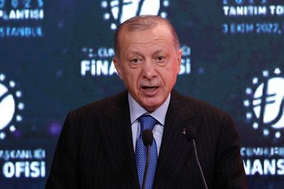 Turkey summons Swedish envoy over 'insulting content' about Erdogan on TV -Anadolu