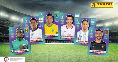 FREE Panini FIFA World Cup Qatar 2022™ Sticker Sheets with your Sunday Mirror and Daily Mirror