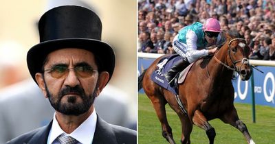 Sheikh Mohammed pays record £2.9m for 'lookalike' to wonder horse Frankel in rare appearance