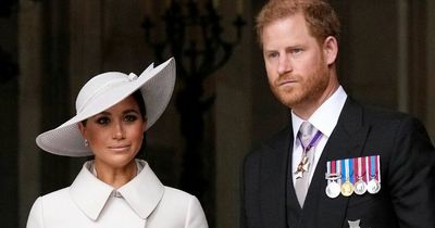 Palace staff 'felt sick' working for Meghan and Harry amid 'loyalty tests', author claims