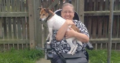 Woman who 'always had smile on her face' killed as mobility scooter crashes with car