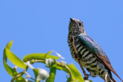 A reassuring glimpse in dark times