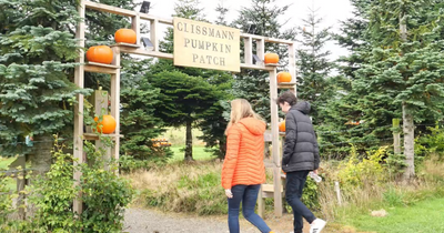 'We visited a Wicklow pumpkin patch and had a great time with games and donkeys'