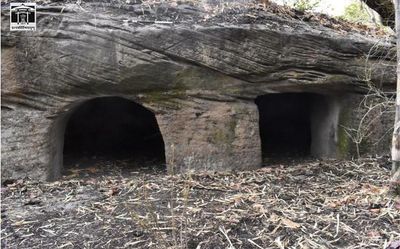 Caves of Bandhavgarh not Buddhist, says Ashoka University Professor Nayanjot Lahiri