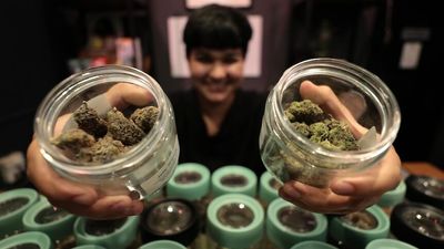 'It's like the new Amsterdam': The rush to cash in on Thailand's hazy cannabis laws