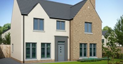 Ballymaconaghy Road housing development consultation to launch soon