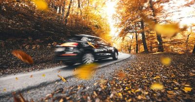Warning as autumn leaves could damage your car - how to prepare vehicle for colder seasons