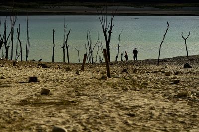 Climate change made summer drought 20 times more likely