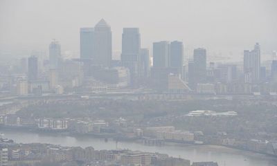 Toxic air pollution particles found in lungs and brains of unborn babies