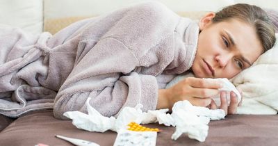 What the main differences are in symptoms between covid, the flu and a cold