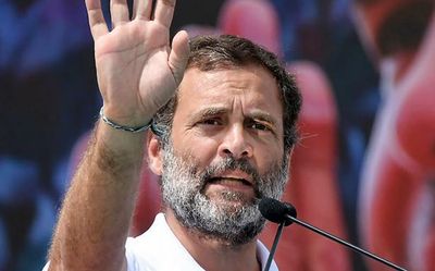 Rahul Gandhi seeks Bommai’s intervention for treatment of injured baby elephant in Nagarhole