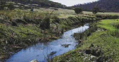 'Take all possible precautions': Access to ACT national parks limited