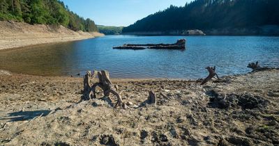 Catastrophic effect of warming temperatures on river life in Wales