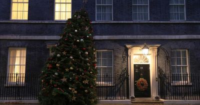 A competition to pick the Downing Street Christmas tree is being held in Wales today