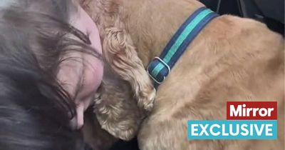 Dying dog says final goodbye to owner with emotional hug before being put down
