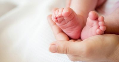Expert explains why Noah tops baby name list as parents face 'uncertain times'
