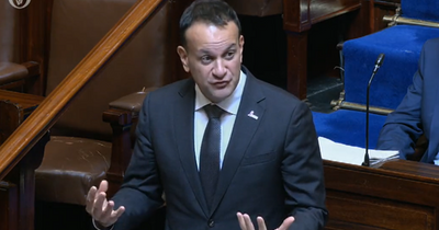 Leo Varadkar's grim winter blackout warning as Dail hears energy crisis update from Tanaiste