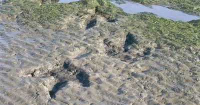 The stunning beach in Scotland where you can find giant dinosaur footprints