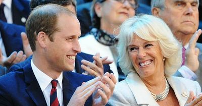 William says Camilla not 'step-granny' to George, Charlotte and Louis, new book claims