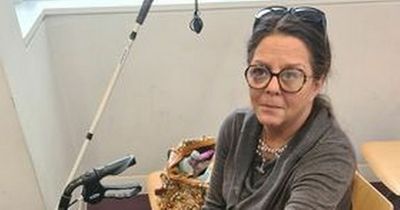 Woman vows to 'camp overnight' in Dublin passport office to sort out holiday issue