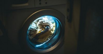 UK households to be paid to use washing machines at night in blackout warning