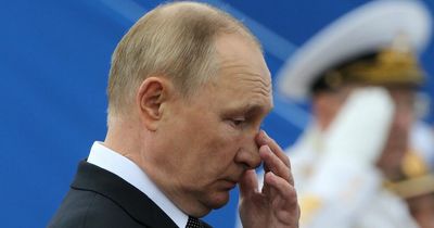 Vladimir Putin won't be in charge of Russia in the 'foreseeable future', insider claims