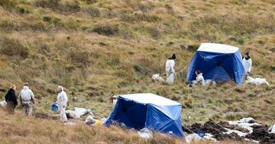 Latest pictures from Saddleworth Moor as search for remains of Moors Murders victim Keith Bennett enters seventh day