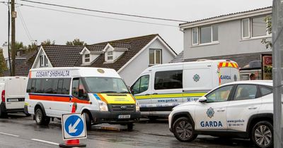 Ukrainian girl, 8, brutally stabbed in Co Clare 'is out of danger' as gardai offer update