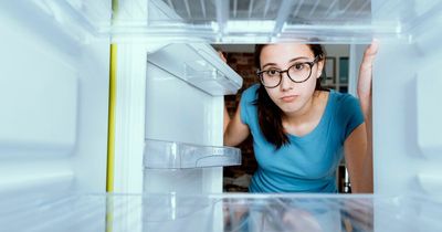 Expert advises how to waste less money using fridge freezer - including where to put it