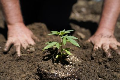 Biden pardons thousands convicted of marijuana possession