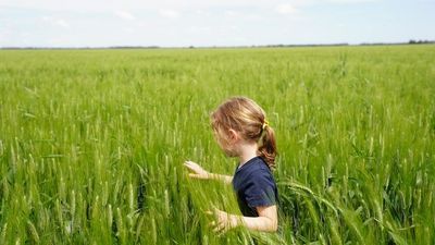 Researchers raise alarm on coal seam gas threat to Australia's richest farmland