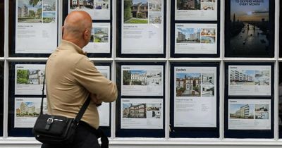 Mortgage rates set for 20-year high as house prices dive nearly 10 per cent