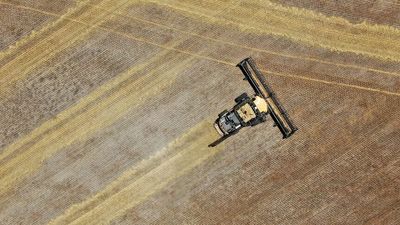 WA grain harvest yields to be high but costs eat into growers' profit margins