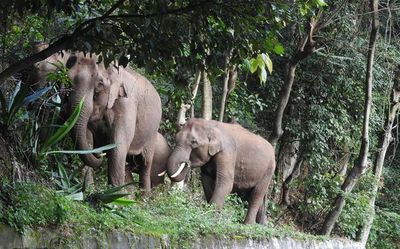 Top Tamil Nadu news developments today