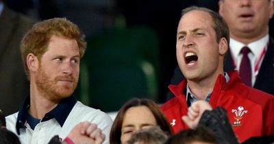 Prince William's England v Wales plea 'to keep Prince Harry quieter' emerges