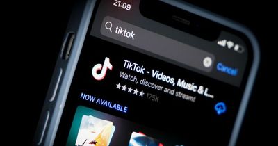 TikTok fans can earn €50 an hour for 'binge-scrolling' sessions