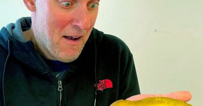 Man finds rude-shaped pear in his Aldi shopping