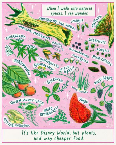 COMIC: How foraging restored my relationship with food