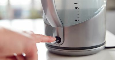 Woman's 'mind blown' after discovering reason why kettles have numbers on them