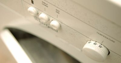 Householders could get £10 a day cash incentive to use washing machine at night