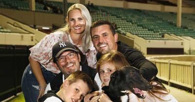 Greyhounds: Newcastle-owned French Martini takes out Black Top final at The Gardens