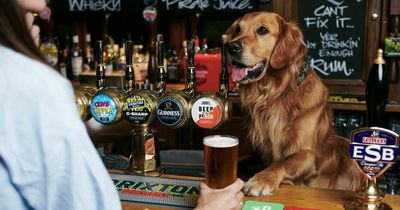 Britain's best pub for pooches serves dog-friendly pints straight from the barrel